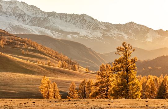 View of a beautiful valley at sunset with amazing golden color everywhere in Altai mountains, Russia. Fall 2019