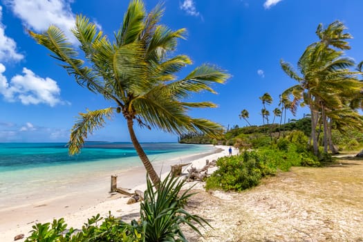 View of a beach with palm trees, beautiful turquoise waters, and a tourist in the distance on the Isle of Pines, New Caledonia.