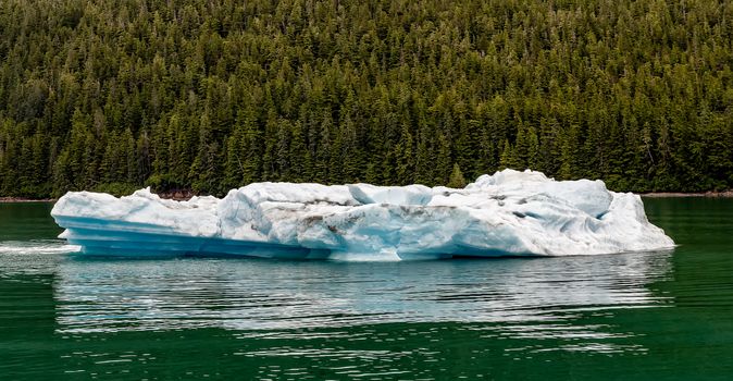 Floating Iceberg in Tracy Arm, Alaska. Green water and forest behind it.