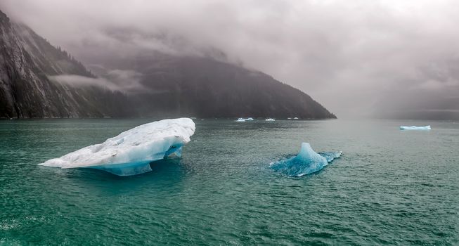 Icebergs floating in the water in Tracy Arm Fjord in Alaska