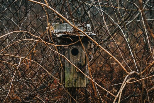 An Old and Rotten Wooden Bird House Surrounded by Dead Plants