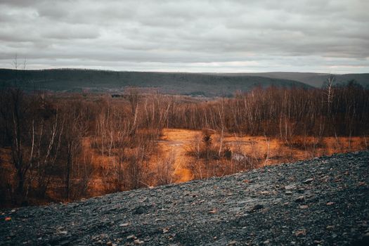 The View Into an Autumn Forest From atop a Large Rock Hill