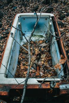 A Rusty Vintage Refridgerator With No Door Forgotten in the Woods