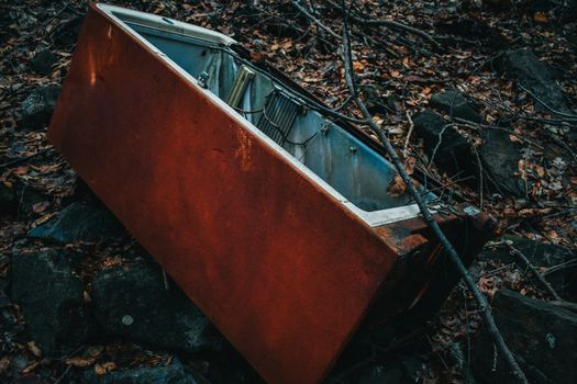 A Rusty Vintage Refridgerator With No Door Forgotten in the Woods