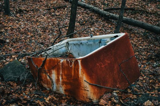 A Rusty Vintage Refridgerator With No Door Forgotten in the Woods