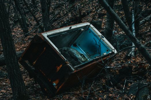 A Rusty Vintage Refridgerator With No Door Forgotten in the Woods
