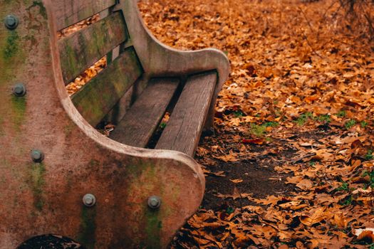 A Concrete and Wood Bench With Moss Growing on it in an Autumn Forest