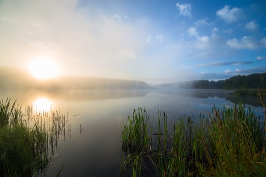 foggy flatland riverside at summer sunrise with tall grass in foreground