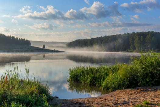 foggy lakeside at summer sunrise with tall grass in foreground