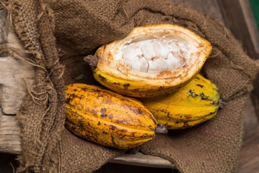 Cacao fruit, raw cacao beans, Cocoa pod on wooden background.