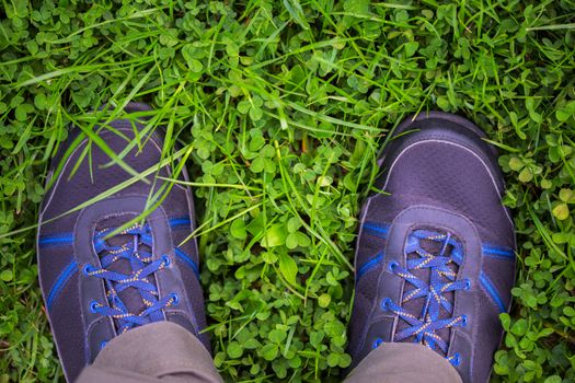 legs in outdoor shoes on clover grass field closeup with selective focus