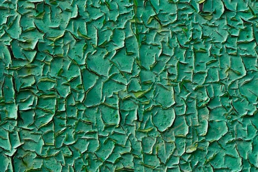 old green peeling paint closeup flat background under direct sunlight