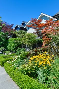 Delicately landscaped front yard of residential houses