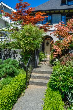 Concrete pathway to residential house entrance over landscaped front yard with red maple by side
