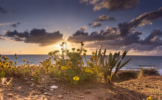 Romantic sunset on sea coast of mediterranean vacation