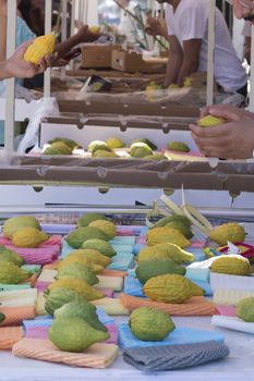 Sukkot four species festival. Etrog citrus on a colorful background. High quality photo