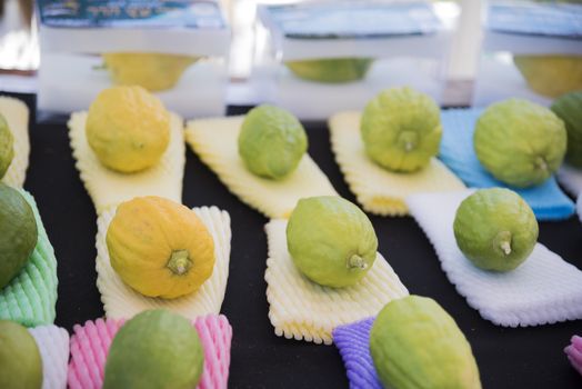 Sukkot four species festival. Etrog citrus on a colorful background. High quality photo