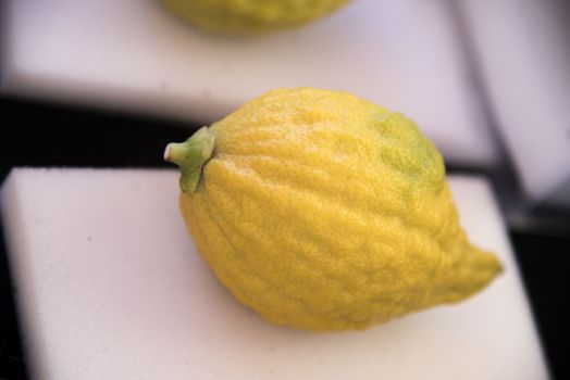 Sukkot four species festival. Etrog citrus. High quality photo