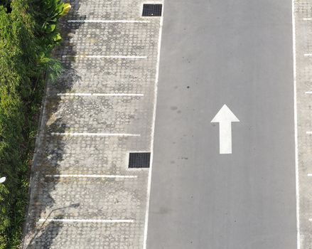 Carpark concrete outdoor and white line and white arrow and tree.