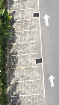 Carpark concrete outdoor and white line and white arrow and tree.