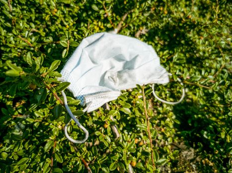 Surgical masks in the nature. Hanging on a tree. Corona virus pollution. Leherheide, Bremerhaven.