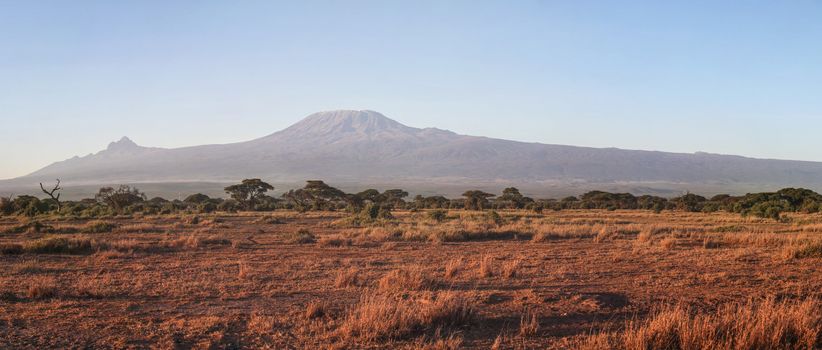 Amboseli national park panorama with mount Kilimanjaro in the background in morning light.