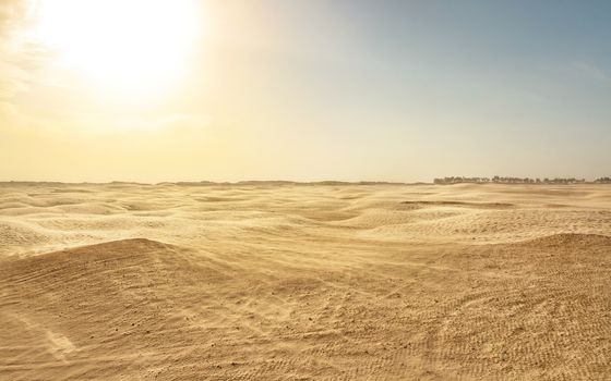 Empty flat sahara desert, wind forming sand dust, with backlight sun in background. Douz, Tunisia