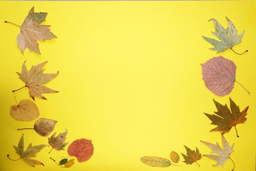 autumn leaves on a yellow background, copy space, mockup blank.