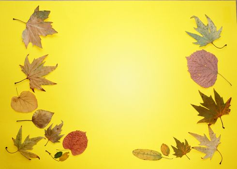 autumn leaves on a yellow background, copy space, mockup blank.