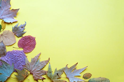 autumn leaves on a yellow background, copy space, mockup blank.