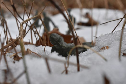 A Toy Soldier Taking Aim and Ready to Fight in Knee-Deep Snow