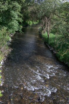 the course of the river the victory through thick forest