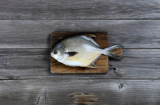 Overhead view of a fresh whole silver or white pomfret fish on wooden serving board 