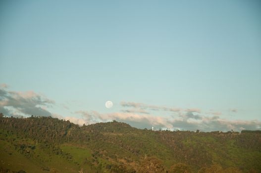 Moon and outback forest scenery in Australia