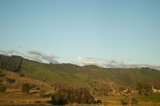 Calm evening outback forest scenery in Australia