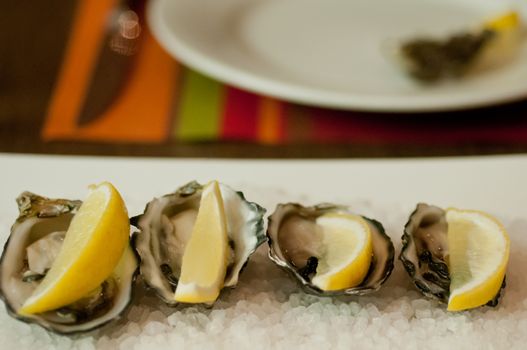 Fresh pacific oysters with lemon on salt plate