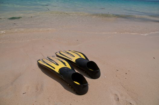 Flipper on Phuket beach sunny day