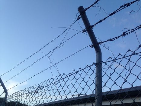 Barbed wired fence look up to see blue sky