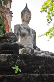 Ayudhaya ancient Buddha statue Thailand