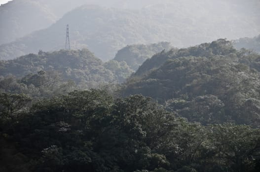 Electricity tower in deep forest