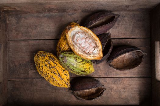 Cacao fruit, raw cacao beans, Cocoa pod on wooden background.