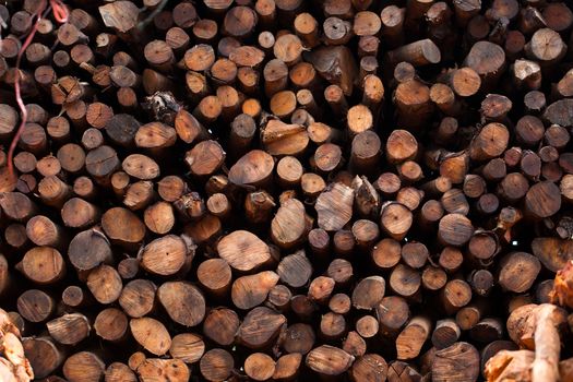 Firewood stacked and prepared for winter Pile of wood logs.