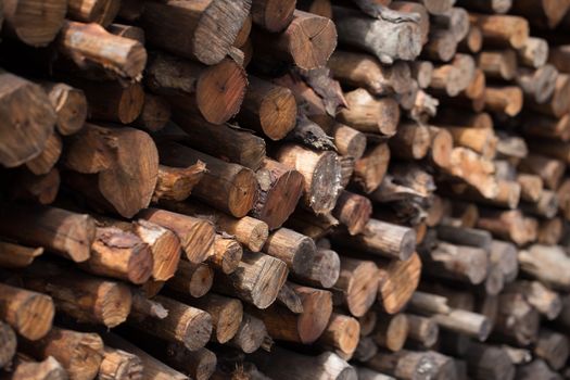 Firewood stacked and prepared for winter Pile of wood logs.