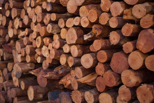 Firewood stacked and prepared for winter Pile of wood logs.