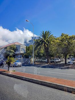 Driving through Cape Town's streets with palm trees in summer, South Africa.