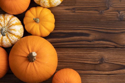 Autumn border of pumpkins on wood background with copy space