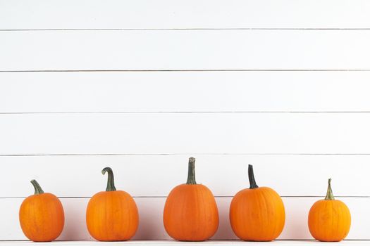 Five orange pumpkins on white wooden background, Halloween concept