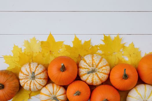 Many colorful pumpkins and maple leaves frame on wooden background , autumn harvest , Halloween or Thanksgiving concept