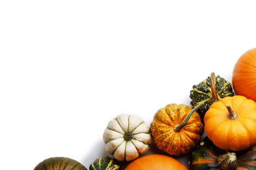 Many orange pumpkins isolated on white background , Halloween concept , top view with copy space