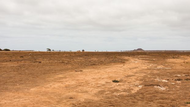 Fata Morgana (mirage) of what looks like lake and palm trees in distance, but it is just illusion. Sal, Cape Verde